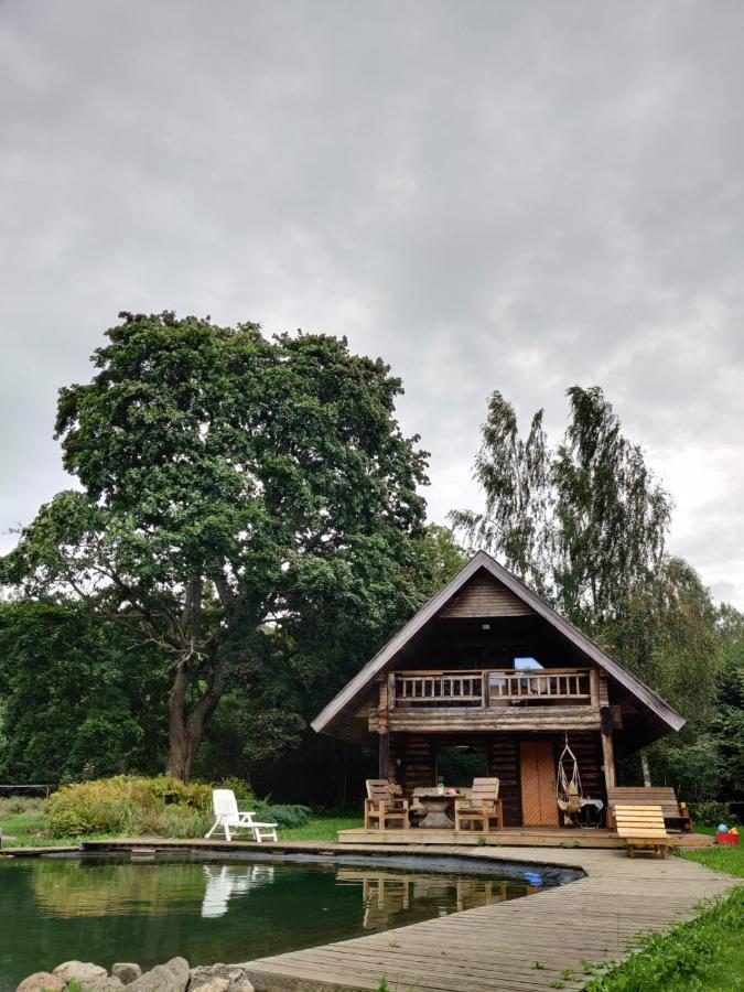Villa Jaunzemji à Dzeņi Extérieur photo