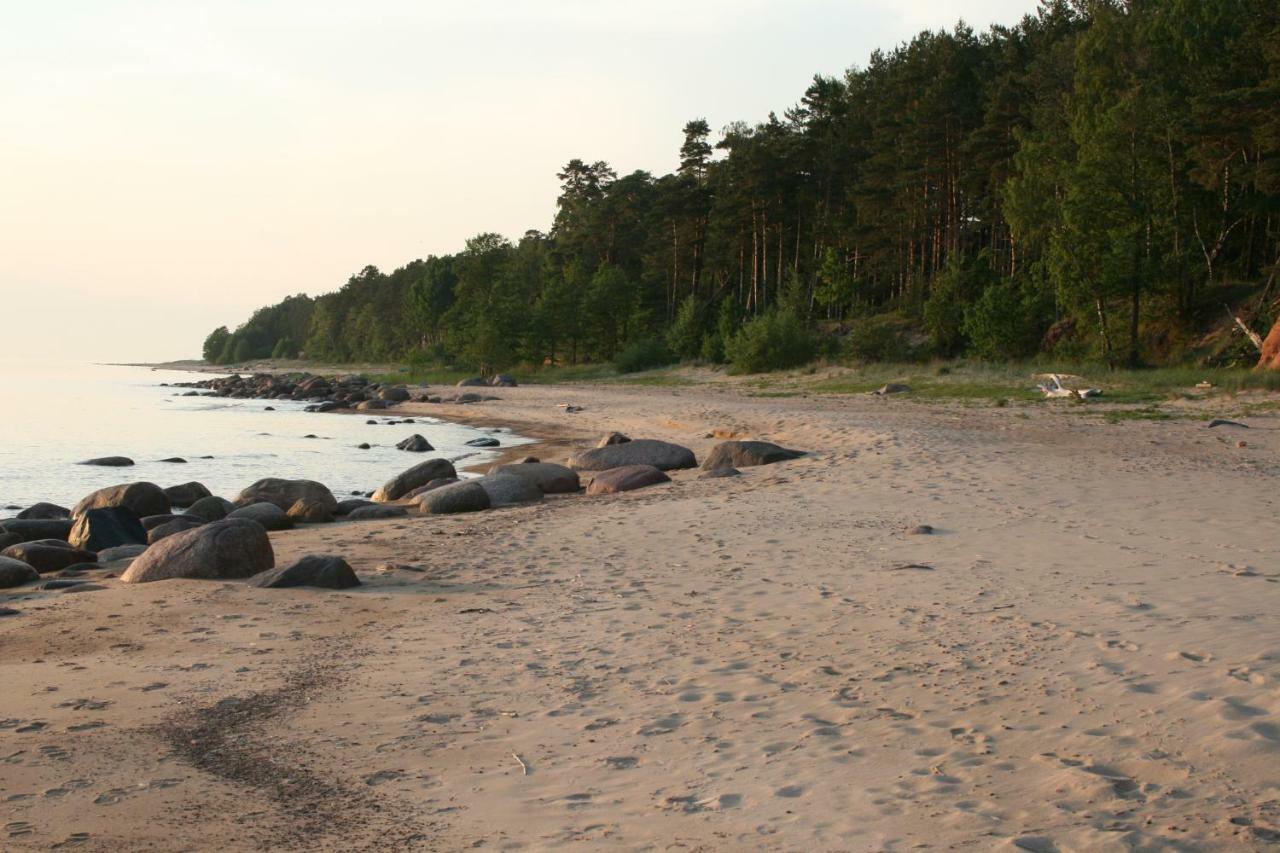 Villa Jaunzemji à Dzeņi Extérieur photo